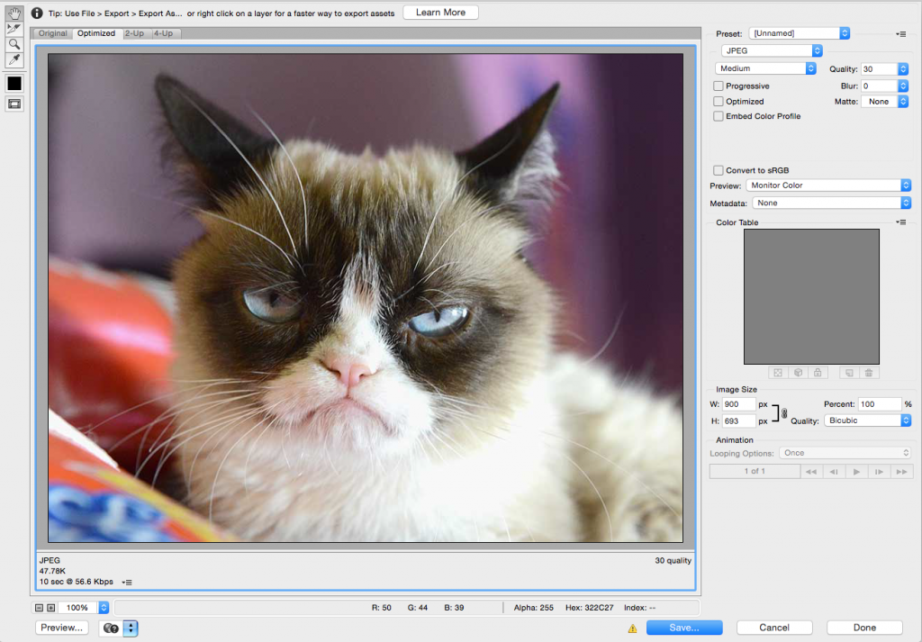 Grumpy Cat - Photoshop Save for Web